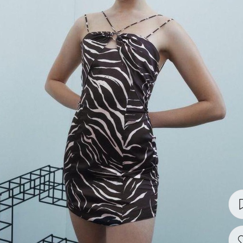 zara zebra print dress